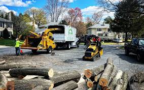 Best Tree and Shrub Care  in Covelo, CA