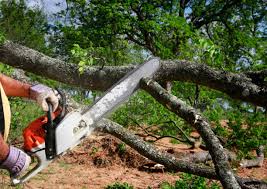 Best Weed Control  in Covelo, CA